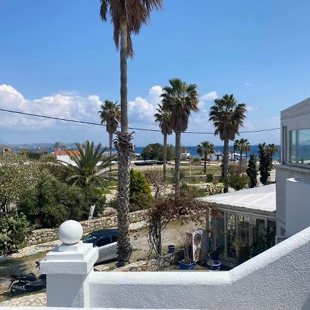 Ficus Traditional Apartments Kéfalos Dış mekan fotoğraf
