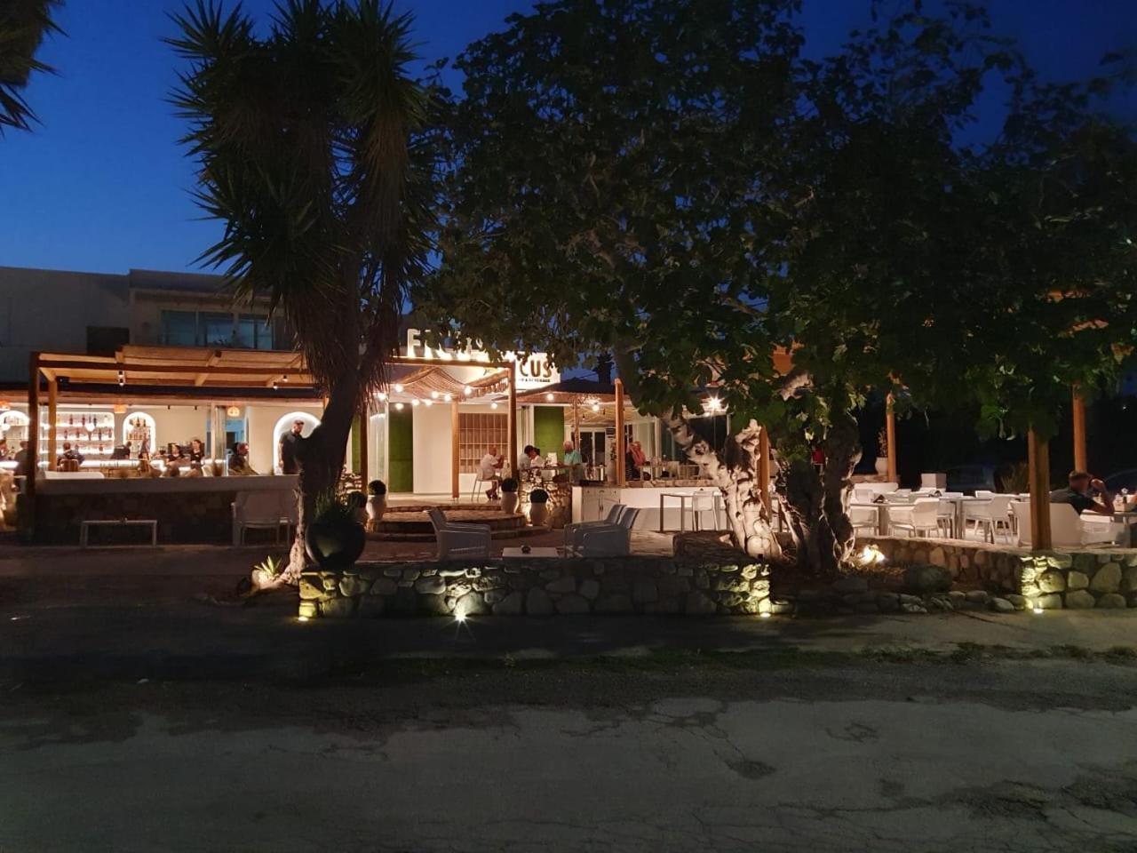 Ficus Traditional Apartments Kéfalos Dış mekan fotoğraf