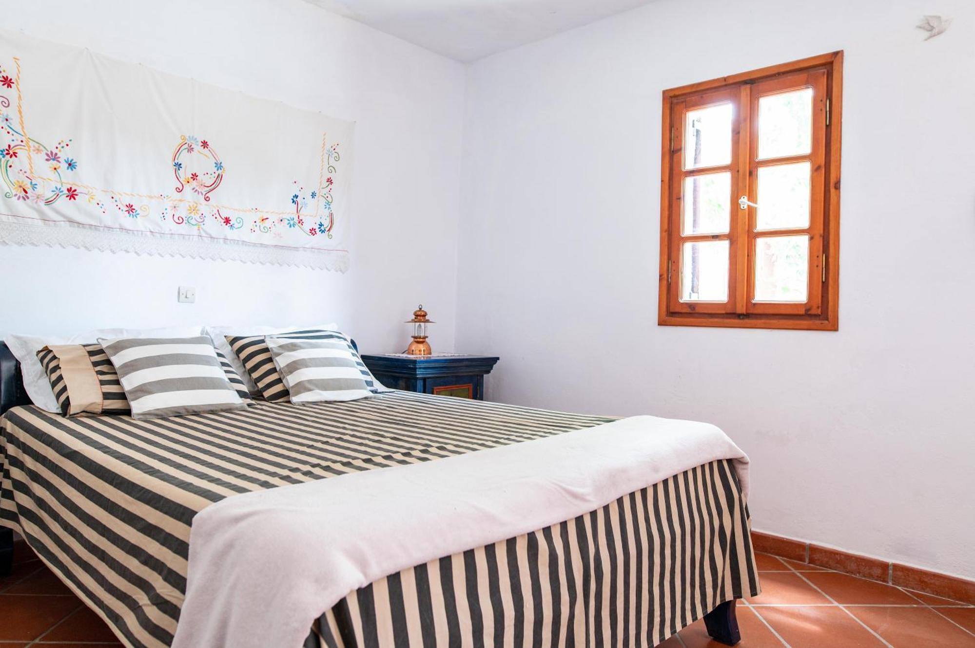 Ficus Traditional Apartments Kéfalos Dış mekan fotoğraf
