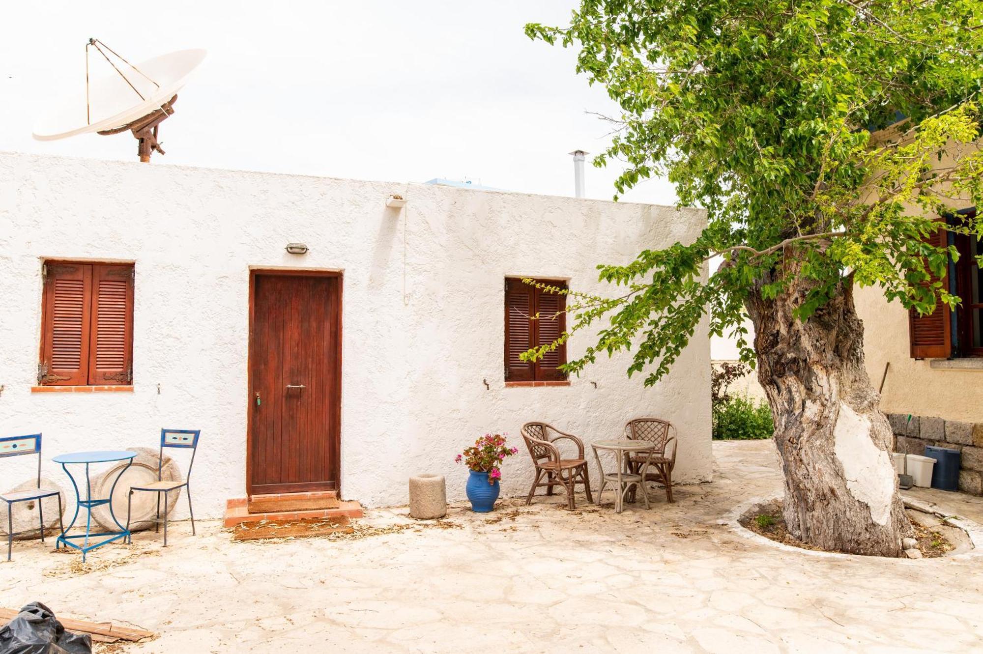 Ficus Traditional Apartments Kéfalos Dış mekan fotoğraf